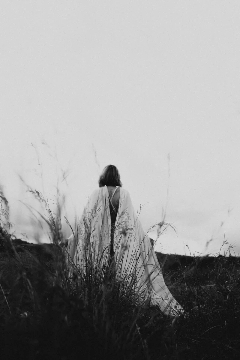 2023 — Field, Silhouette