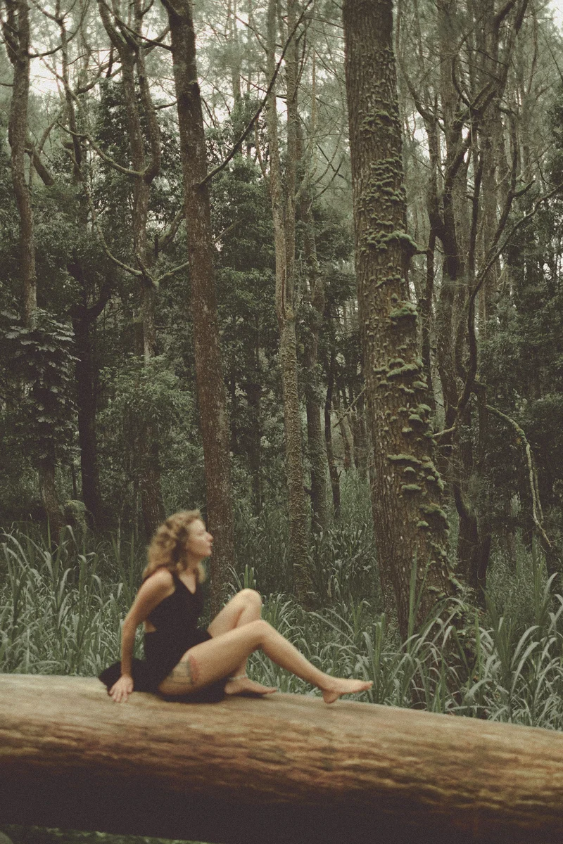 2023 — Forest, Tropics, Self-portrait, Ambient