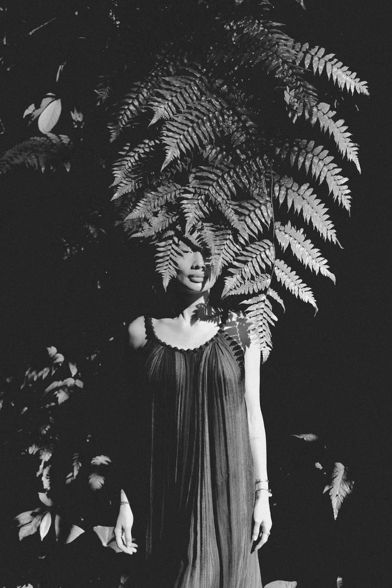 2024 — Forest, Tropics