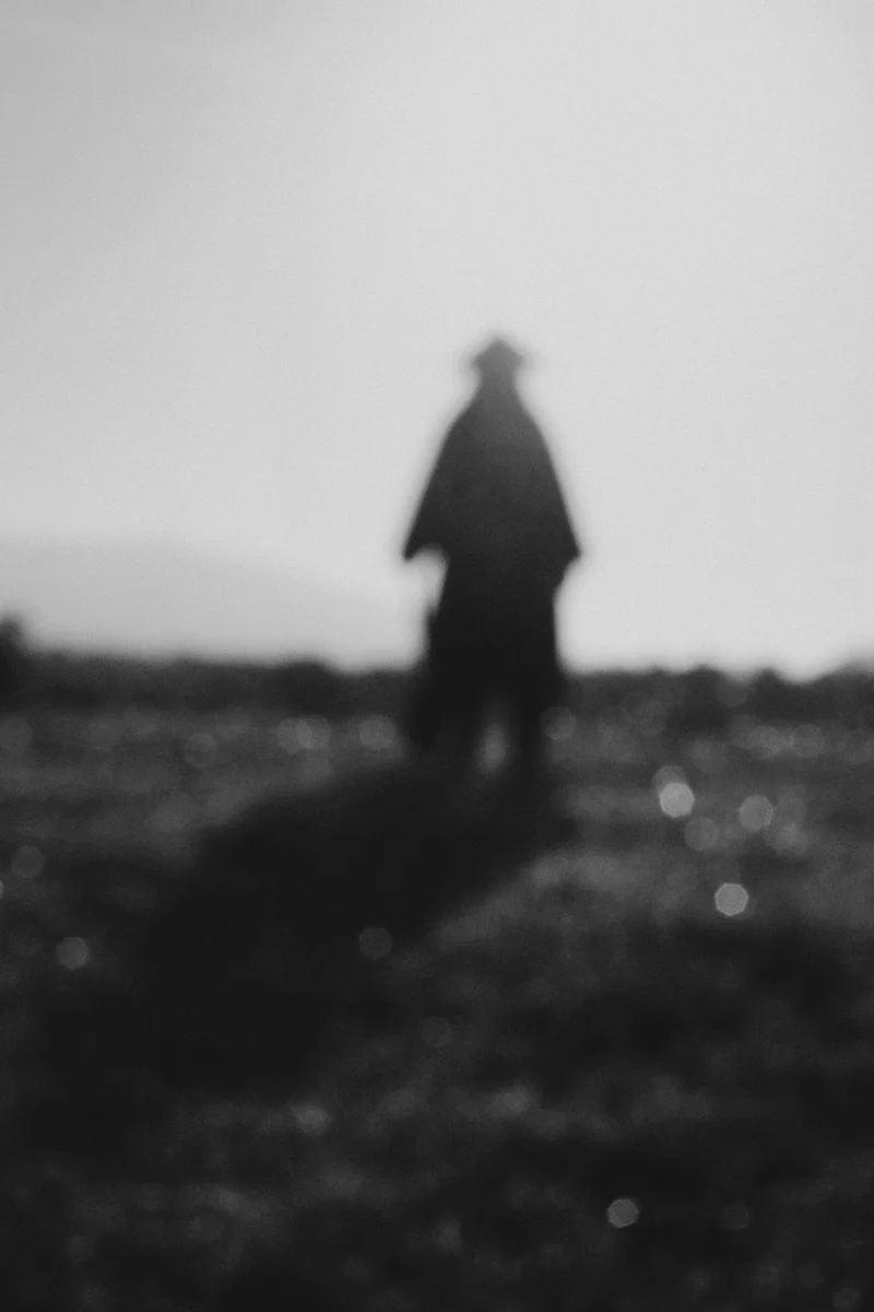 2024 — Field, Silhouette