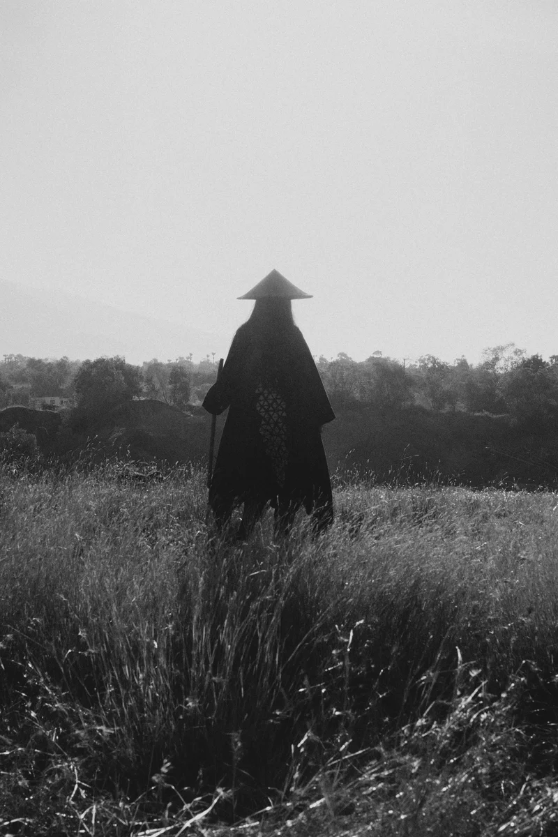 2024 — Field, Silhouette, Strength, Ambient