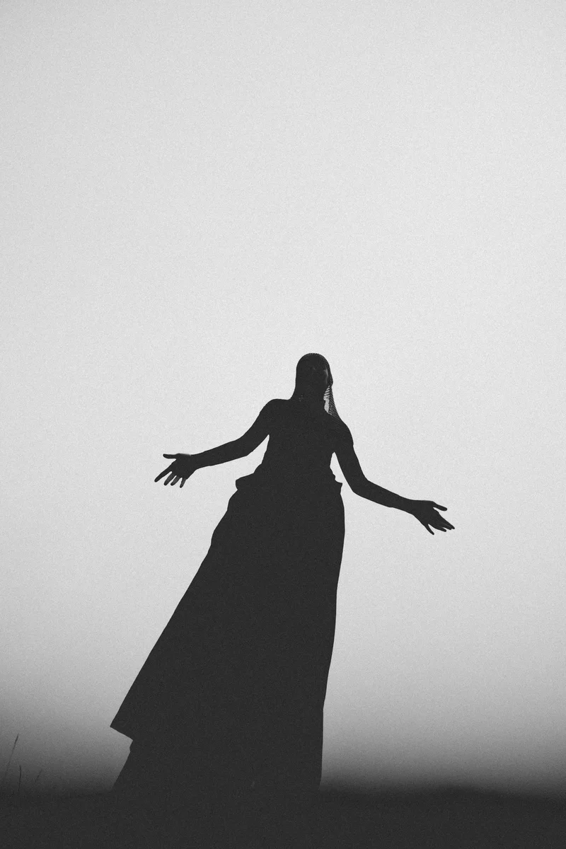 2025 — Silhouette, Fog