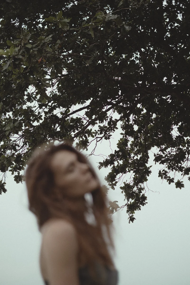 2025 — Portrait, Tree, Ambient