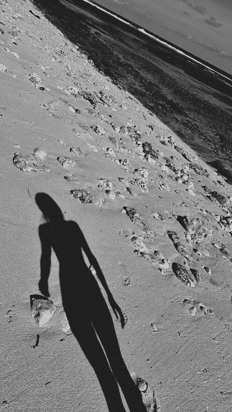 2025 — Water, Silhouette, Shadow, Sand, Journey