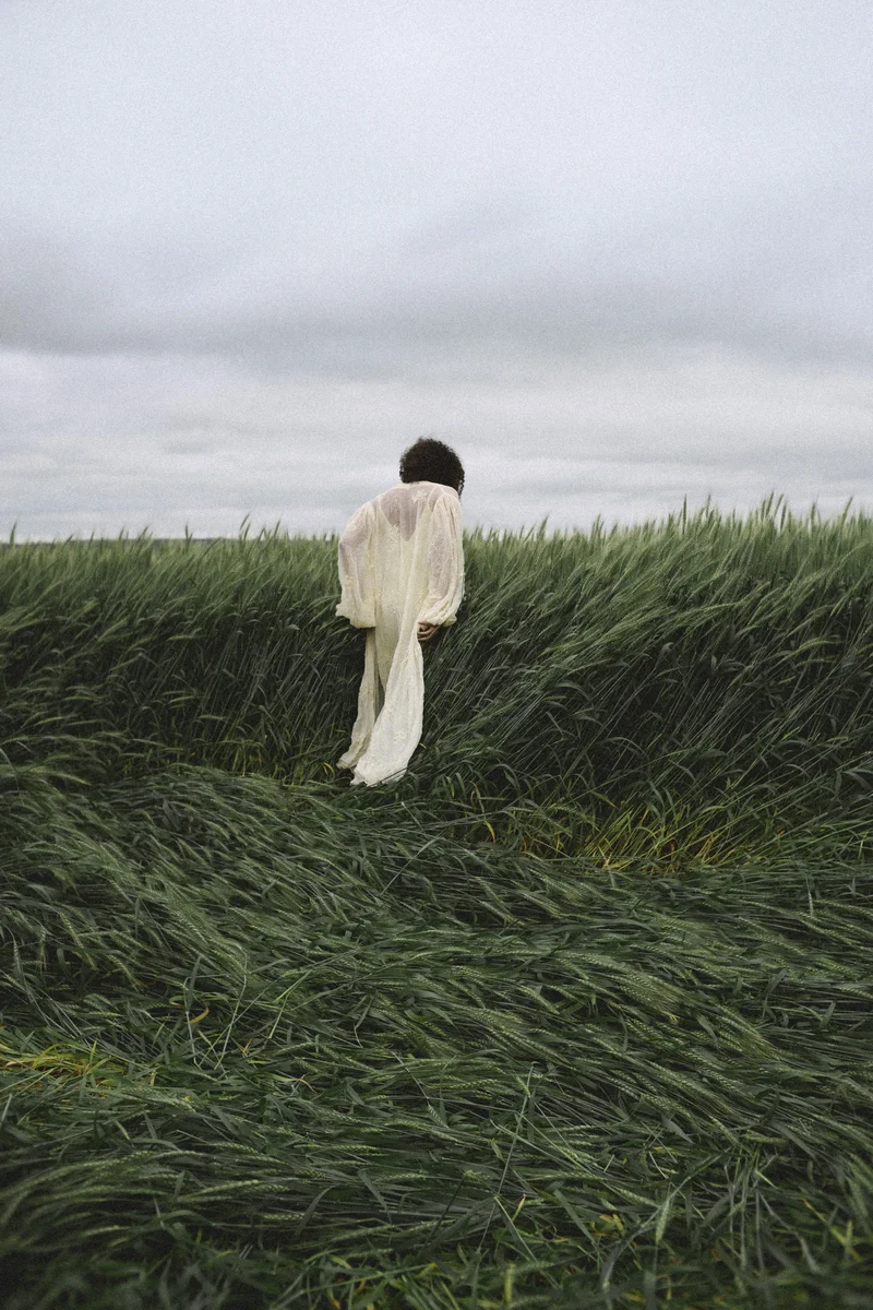 2026 — Wind, Field, Space, Ambient