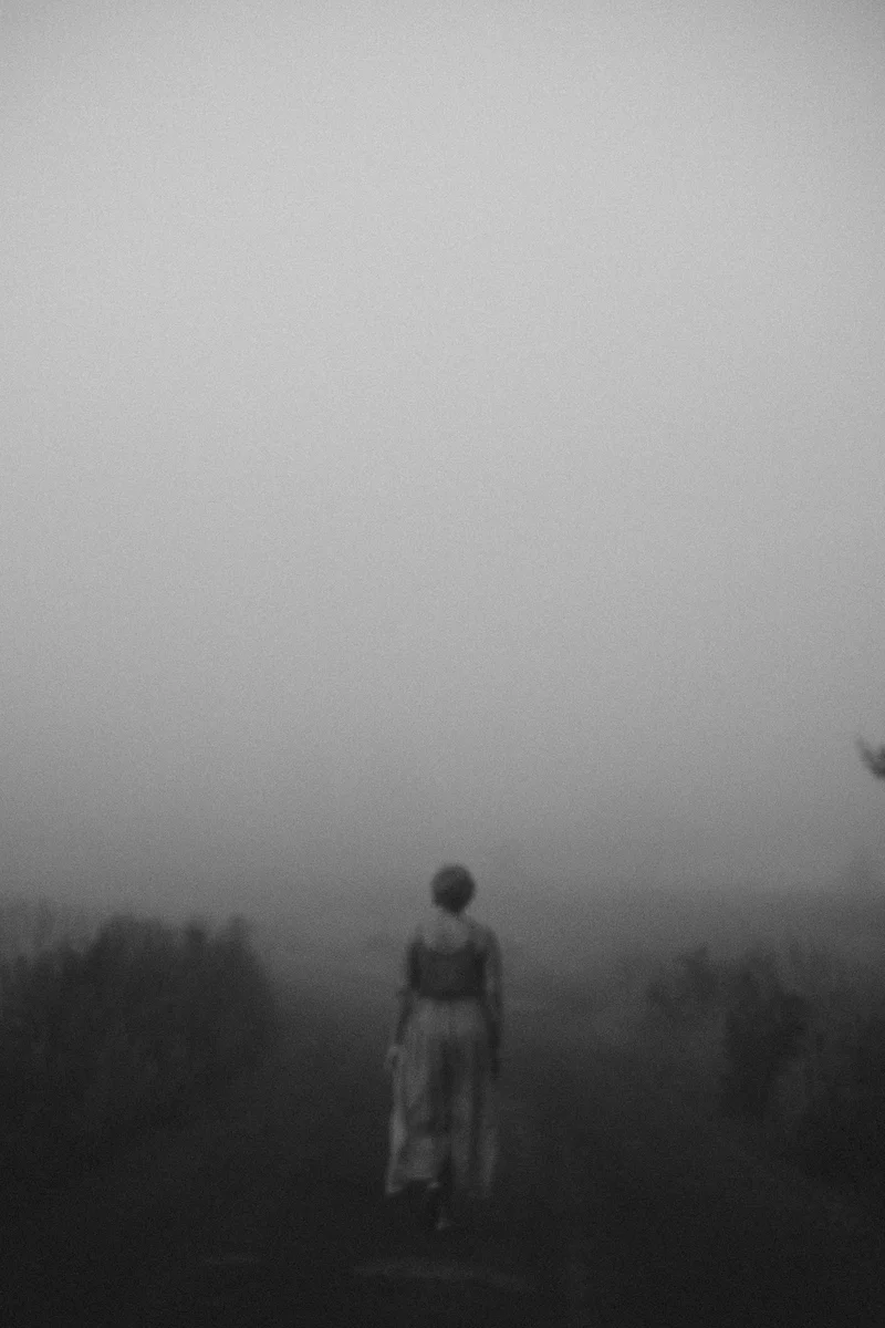 2026 — Silhouette, Fog, Journey, Softness, Ambient