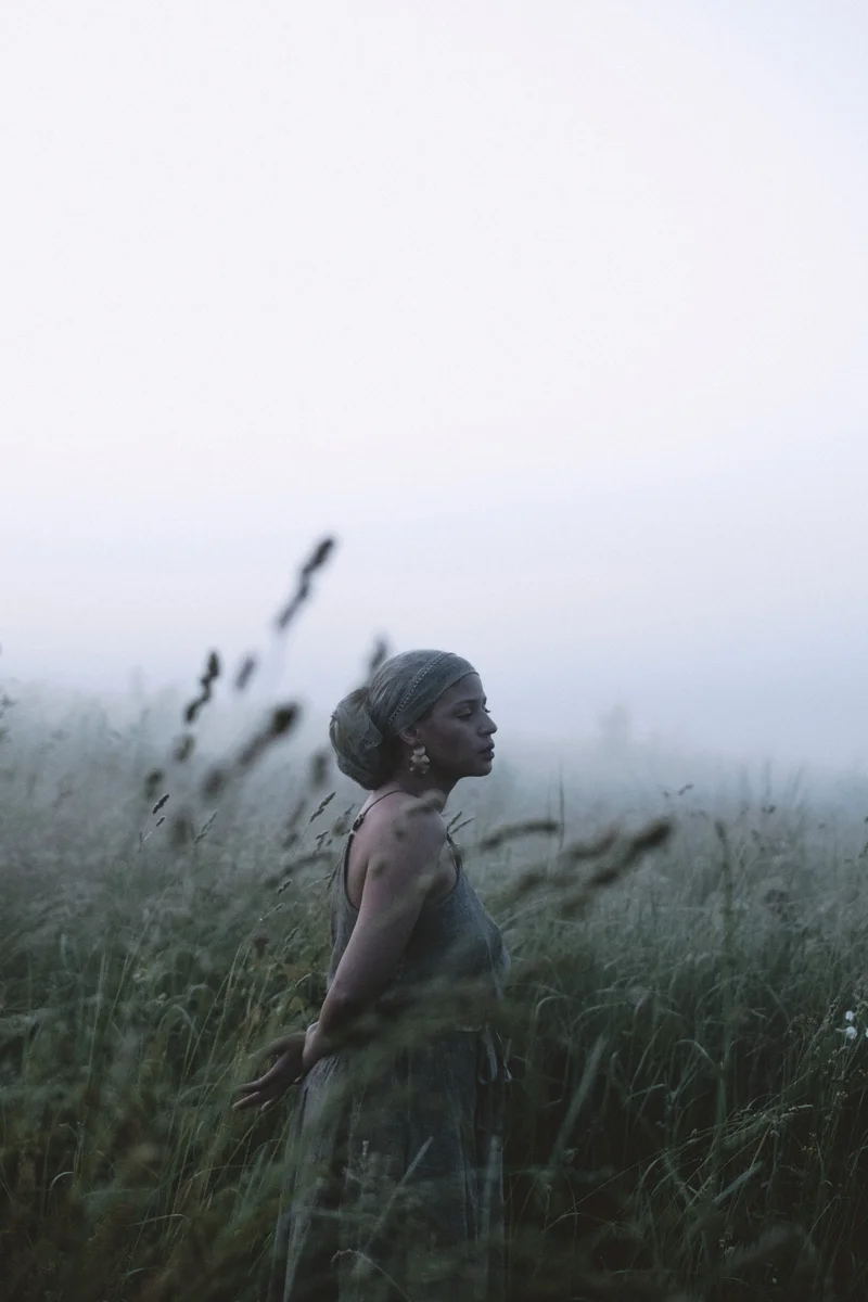 2026 — Field, Fog