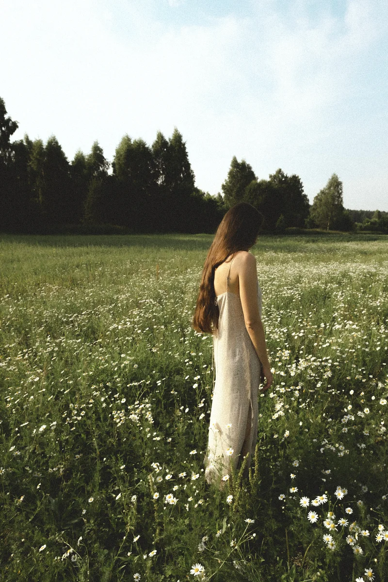2026 — Field, Russia, Elegance, Space, Ambient