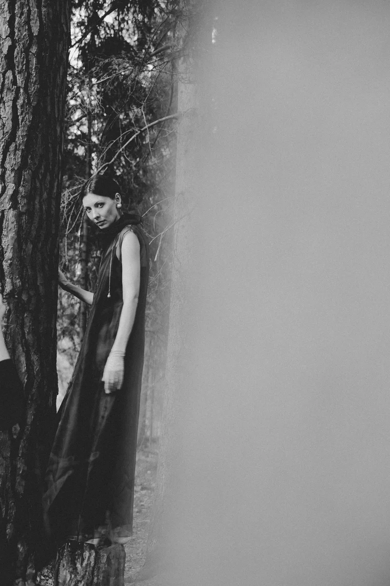 2026 — Forest, Gaze
