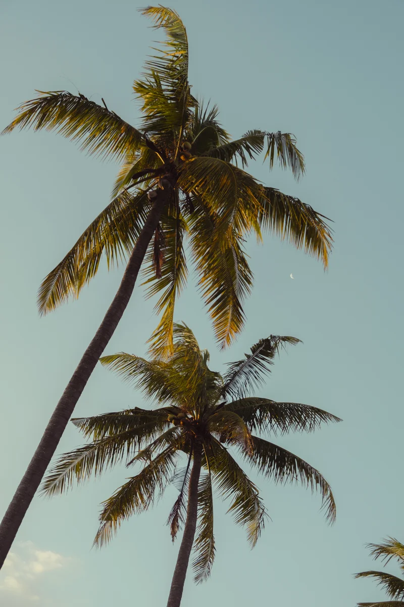 Above