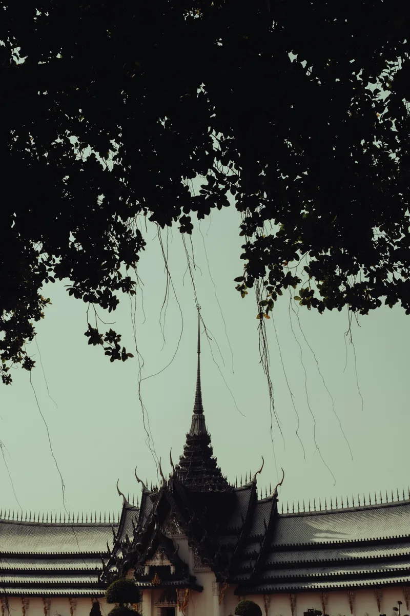 Bangkok 2024 — heat, neon and the tropical rhythm of the city
