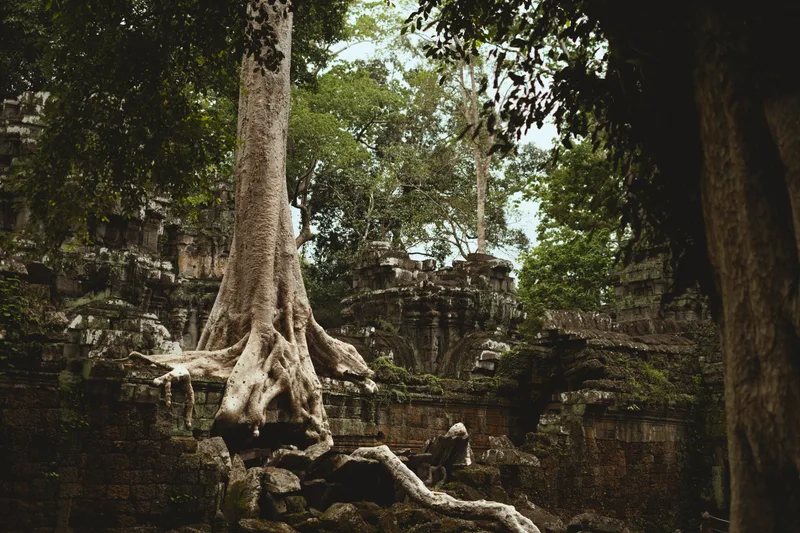 Angkor Wat grounds — towers, galleries, tourist crowds, hidden corners