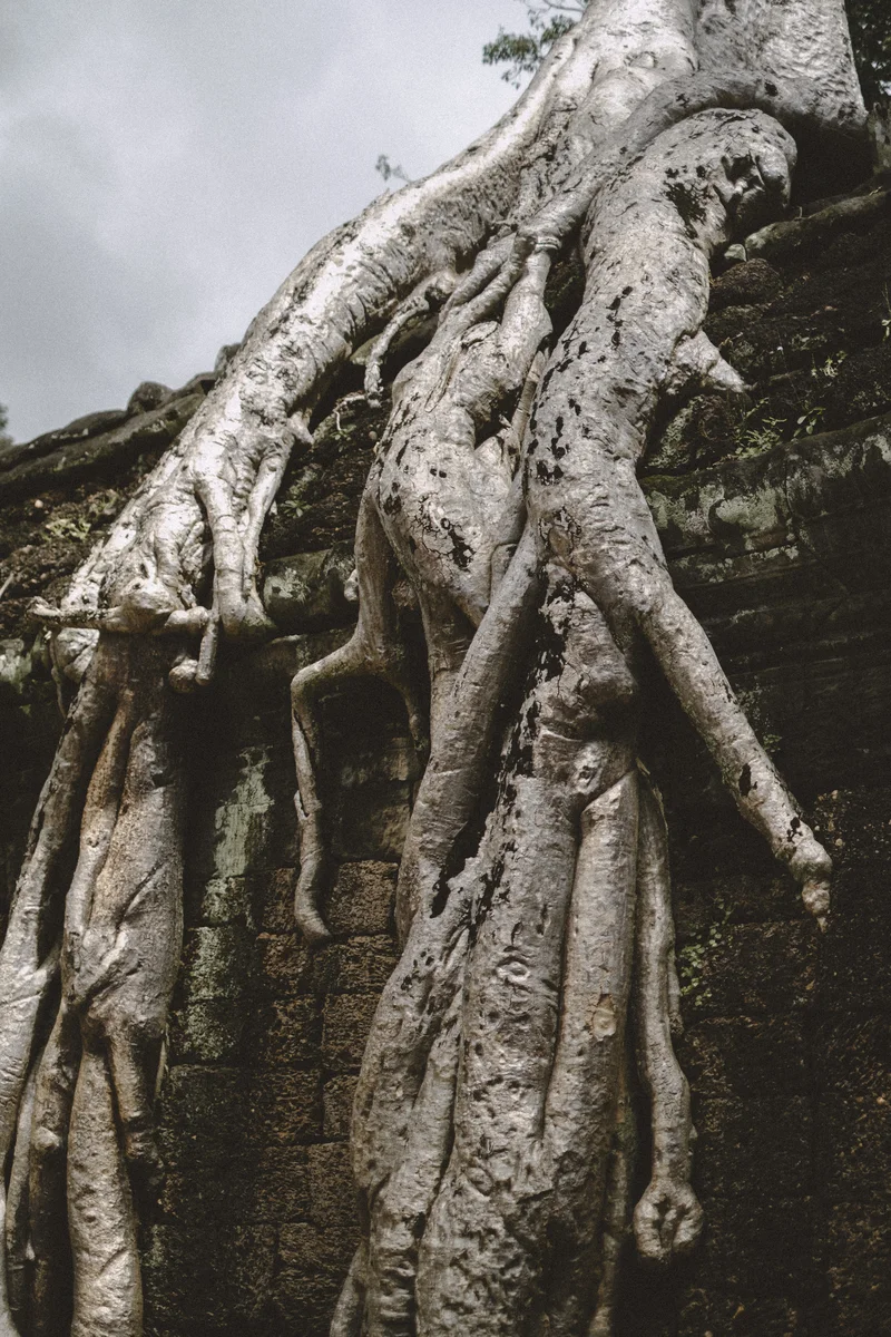 Angkor Wat grounds — towers, galleries, tourist crowds, hidden corners