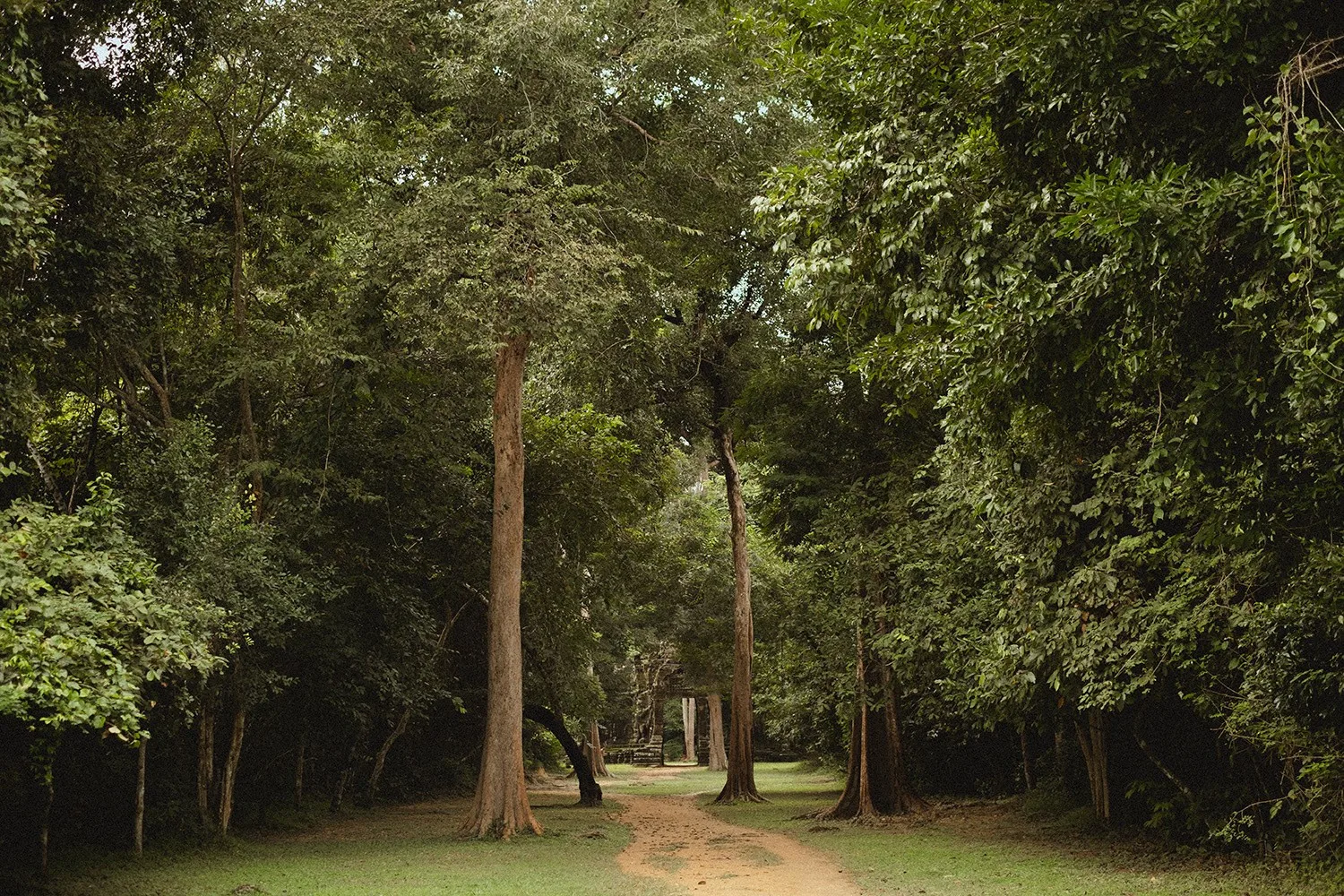 Angkor Wat grounds — towers, galleries, tourist crowds, hidden corners