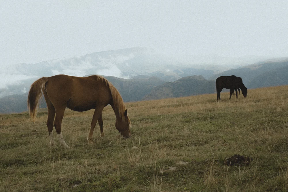Kabardino-Balkaria — mountain roads, clouds and the scale of the Caucasus