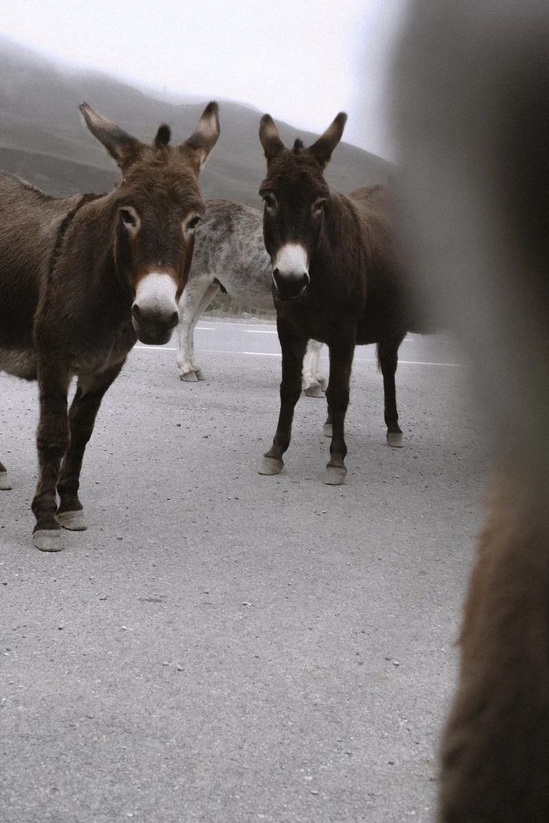 North Ossetia — altitude, silence and the rare strength of space