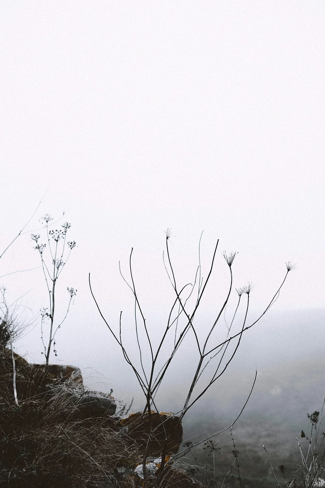 North Ossetia — altitude, silence and the rare strength of space