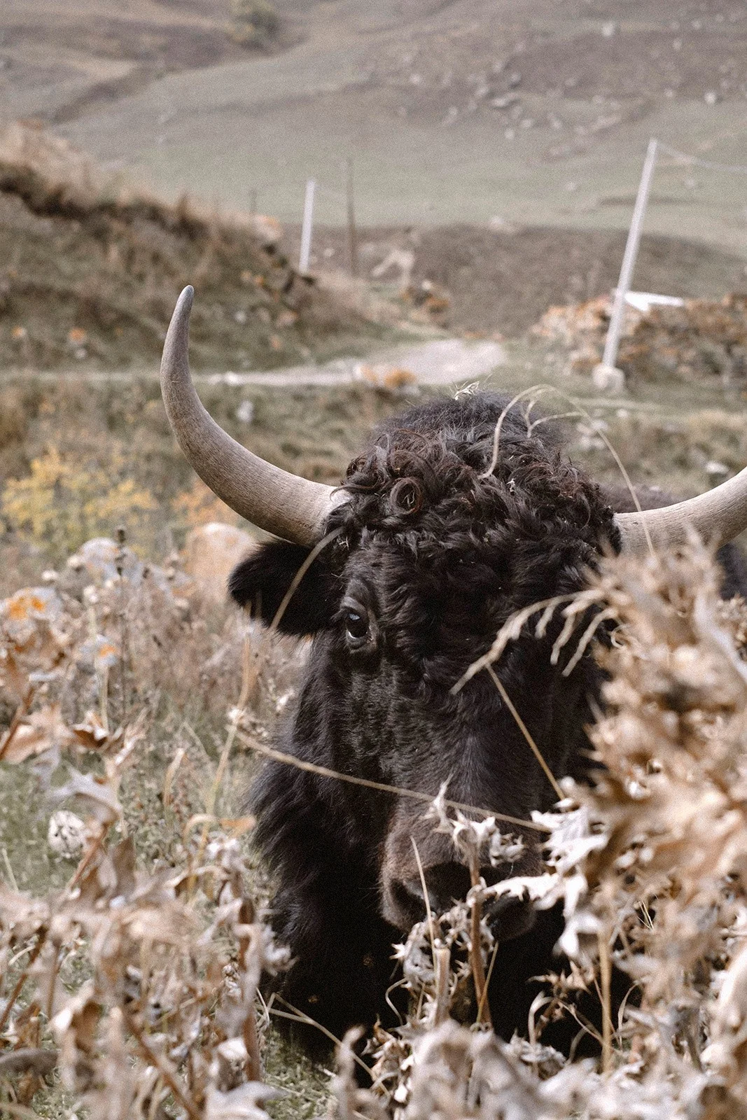 North Ossetia — altitude, silence and the rare strength of space