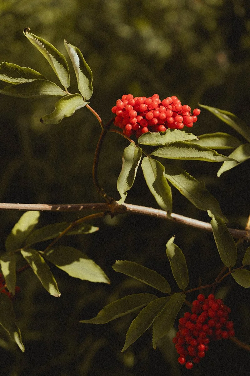 Russia — quiet spaces and familiar landscapes