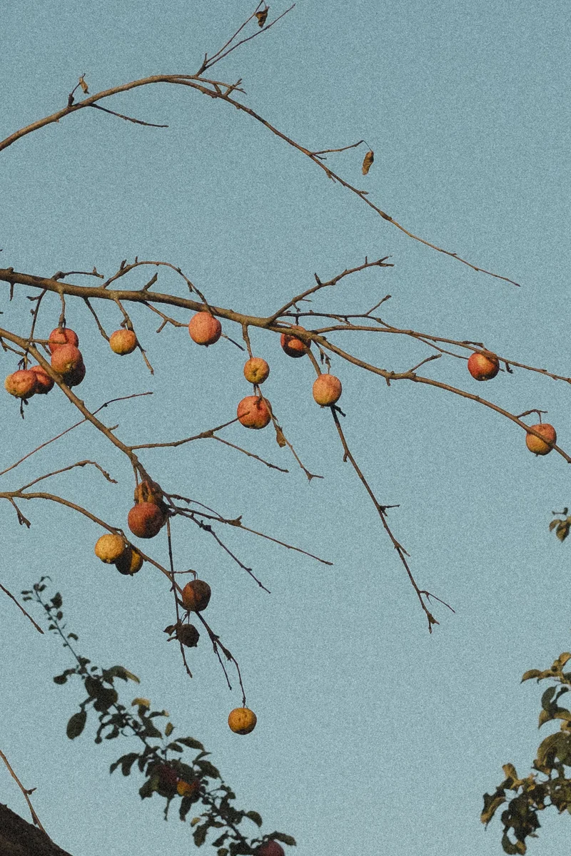 Russia — quiet spaces and familiar landscapes